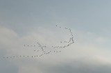 P1060268